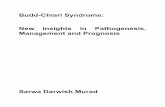 Budd-Chiari Syndrome: New insights in Pathogenesis ... Murad, Sarwa.pdf · Prof.dr. S.W.J. Lamberts en volgens besluit van het College voor Promoties. De openbare verdediging zal