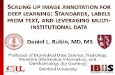 SCALING UP IMAGE ANNOTATION FOR DEEP LEARNING: … · SCALING UP IMAGE ANNOTATION FOR DEEP LEARNING: STANDARDS, LABELS FROM TEXT, AND LEVERAGING MULTI- INSTITUTIONAL DATA Daniel L.