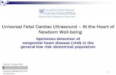 Universal Fetal Cardiac Ultrasound – At the Heart of Newborn Well -being · 2016-12-12 · 1 Universal Fetal Cardiac Ultrasound – At the Heart of Newborn Well -being Optimizes