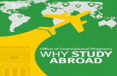 Office of International Programs WHY STUDY ABROAD · including your study abroad experience in your CV. Having a study abroad experience on your CV will demonstrate your cross-cultural
