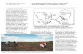 SOUTH FLORIDA WETLANDS ECOSYSTEM: BIOGEOCHEMICAL PROCESSES ... › fs › 1996 › 0177 › report.pdf · these wetlands. A second focus of this project will be on the geochemical