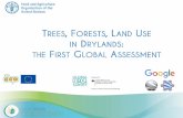 PowerPoint Presentation€¦ · Russia Oceania REE E Cropland Grassland Title: PowerPoint Presentation Author: Adia Bey (FOM) Created Date: 7/4/2016 11:37:51 AM ...