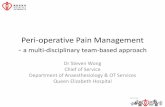 Perioperative Pain Management - Hospital Authority€¦ · Nurse-led Acute Pain Service •Link nurses –Nurses from the operating theatre (OT) and ward –Collaborating with the