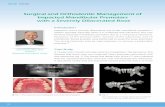 Surgical and Orthodontic Management of Impacted Mandibular ...iaoi.pro/asset/files/ijoi_30_pdf_article/080_089_new.pdf · Impacted Mandibular Premolars with a Severely Dilacerated