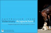 AUSTRALIAN IVAS Veterinary Acupuncture - CIVT · approach to Small Animal and Equine acupuncture. This experienced team have taught over 300 vets from Australia and South-East Asia