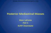 Posterior Mediastinal Masses - SUNY Downstate Medical Mediastinal Masses_mlf.pdf Imaging • CT chest • 4.4 x 4.3 x 6.6cm posterior mediastinal mass, partially ... Posterior Mediastinal