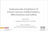 Endovascular treatment of arterio-venous malformations: effectiveness and … · Endovascular treatment of arterio-venous malformations: effectiveness and safety LINC 2018 Leipzig,