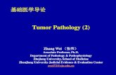 Tumor Pathology (2)m-learning.zju.edu.cn/G2S/eWebEditor/uploadfile/... · 1. Benign tumors 1. site+cell type from which the tumor arises + oma such as：adenoma of thyroid 2. benign
