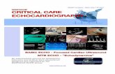 BASIC ECHO - Focused Cardiac Ultrasoundevents.startpromotion.it/site/common/uploads... · Focused Cardiac Ultrasound in Critical Care: aims and place in !! !echocardiography !training