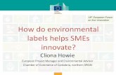 How do environmental labels helps SMEs · 1. Position the ^sustainability department as a part of Business Development. 2. A company [s design principles need to successfully integrate