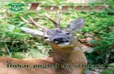 Lovac 70.pdf4 lovac juni 2016 2016 juni lovac 5 i uklanjanje ŠtetoČina iz loviŠta 1. redukcija brojnog stanja pasa i maČaka koji se nekontrolisano kreĆu po loviŠtima (lutalice)