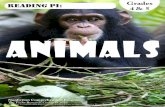 A N I M A L S · 2019-08-07 · She is the world’s leading expert on chimpanzees. Thanks to her, we know a lot about how chimpanzees live in the wild. Jane Goodall wrote a children’s
