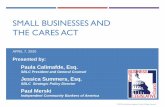 SMALL BUSINESSESAND THE CARESACT · 4 © 2020 Small Business Legislative Council All Rights Reserved PAYCHECK PROTECTION PROGRAM - OVERVIEW Maximum loan = basically the lesser of