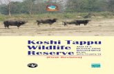 Koshi Tappu Wildlife Reserve - DNPWCdnpwc.gov.np › media › publication › Koshi_Tappu_WR... · Koshi Tappu Wildlife Reserve is the first Ramsar site of Nepal largely situated
