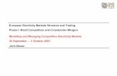 European Electricity Markets Structure and Trading Phase I ... · European Electricity Markets Structure and Trading Phase I: Retail Competition and Crossborder Mergers Modelling