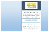 Clay County...• Understand the top health priorities facing Clay County • Participate in community efforts as laid out in the CHIP strategies • Engage with other government officials