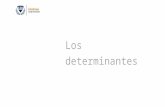 Los determinantes - COSETES DE QUART€¦ · Web viewLos determinantes 4º EP Contenidos Definición de determinante. Tipos de determinantes. Author Maribel Salarich Created Date