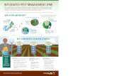 INTEGRATED PEST MANAGEMENT (IPM) …...INTEGRATED PEST MANAGEMENT (IPM) IPM is a holistic approach to sustainable agriculture that focuses on managing insects, weeds and diseases through