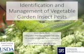 Identification and Management of Vegetable Garden ... Garden Insect Pests Kevin Burls, Ph.D. Integrated Pest Management Educator University of Nevada, Reno Extension Grant funding