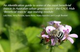 An identification guide to some of the most beneficial ...€¦ · beneficial insects to survive. Equally, we hope our citizen scientists will also report on which plant species they