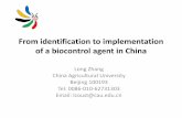 From identification to implementation of a biocontrol ... aug, china denmark workshop... · From identification to implementation of a biocontrol agent in China Long Zhang ... A brief