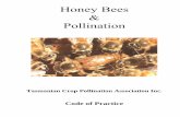 Honey Bees Pollination - Department of Primary Industries ... of... · and subsequently produce seed. Pollination is a pre requisite to the fertilisation of ovules within flowers
