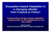 Ecosystem-based Adaptation inbased Adaptation in a ... · Ecosystem-based Adaptation inbased Adaptation in a changgging climate: ... -while delivering multiple benefits beyond biodiversity