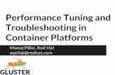 Performance Tuning and Troubleshooting in Container Platforms€¦ · Manoj Pillai, Red Hat mpillai@redhat.com. Background Red Hat Performance and Scale Engineering: Gluster Solutions