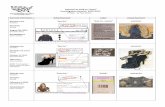 Animal Fur Sold as “Faux” Investigation Results: …...Animal Fur Sold as “Faux” Investigation Results: 2010‐2011 (FINAL ‐ 22 Nov 2011) Garment Information Advertisement