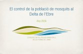 Presentación de PowerPoint · El mitjà aeri és clau per al control antilarvari dels mosquits al Delta de l’Ebre Temps utilitzat d’avió: 20 hores . Número de tractaments en