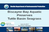 Biscayne Bay Aquatic Preserves Tuttle Basin Seagrasssfregionalcouncil.org/wp-content/uploads/2017/07/BBAP... · 2019-04-16 · • Biscayne Bay Aquatic Preserve was “established