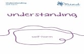 Understanding self-harm understanding - AnDY Research Clinic · Sometimes people talk about self-harm as attention-seeking. If people make comments like this, it can leave you feeling
