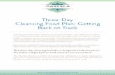 Three-Day Cleansing Food Plan: Getting Back on Track · Three-Day Cleansing Food Plan: Getting Back on Track HolisticNutritionStudio.com 10 Storage Tips: • Keeps in the refrigerator