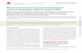 Recommendationsfor transoesophageal … · 2017-12-11 · RECOMMENDATIONS Recommendationsfor transoesophageal echocardiography:EACVIupdate 2014 Frank A. Flachskampf1*, Patrick F.