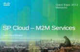 SP Cloud M2M Services - Cisco · Voice Services Unified Messaging Team Spaces IM Presence Web Conf. Application Survivability Storag e -aaS DRaaS Application Visibility Control Optimization