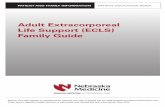 Adult Extracorporeal Life Support (ECLS) Family Guide c… · ECMO – Extracorporeal Membrane Oxygenation. This is a form of ECLS. Extracorporeal ... into the blood vessels that