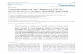 Tamoxifen activates Nrf2-dependent SQSTM1 transcription to promote endometrial hyperplasia · 2017-04-10 · Tamoxifen activates Nrf2-dependent SQSTM1 transcription to promote endometrial