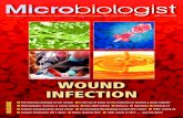 WOUND INFECTION - SfAM€¦ · WOUND INFECTION The evolving ... development of infection in battle wounds is not a new problem. Sumerian carvings describe the use of beer and hot