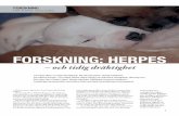 Herpes och tidig dräktighet · En möjlig orsak till pyometra Även om herpes är viktigt och högst aktuellt, har inte ... kunna ställa en tidig dräktighetsdiagnos på hund. –