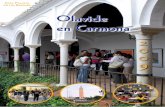Olavide en Carmona - Pablo de Olavide University › cms1 › export › sites › upo › olavideencarmona › … · da fue calificada con un 3,41. En cuanto a la gestión, la media