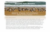Share the Shore - National Audubon Society · take home message is “Share the Shore”! You do not have to master ... SHARE THE SHORE Nesting, Resting and Feeding in Peace is A