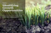 Chapter 3 Identifying Growth Opportunitiesfeinternational.com/AGsamplechapter.pdf · 2015-06-16 · Chapter 3 Identifying Growth Opportunities ... higher payouts 3. Mailing list Optimize
