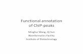Functional annotation of ChIP-peaks - Cornell Universitycbsu.tc.cornell.edu/...workshop_20150504_lecture2.pdf · annotatePeaks.pl test_peak.txt ce10 >test_peaks.out Homer PeakID (cmd=rep4_D12K4_H3_peaks_new.bed
