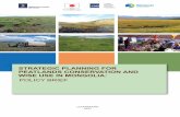 Bodlogiin huraangui+Unelgeenii tailan-B5-eng · 4 POLICY BRIEF 2 3. The draft Strategic Action Plan on Peatlands Conservation and Wise Use in Mongolia was released and includes the