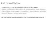 LAB 15: Axial Skeletonwebsites.rcc.edu/.../files/2020/04/Axial_Skeleton_Lab.pdf ·  · 2020-04-14LAB 15: Axial Skeleton •Complete lab 15 in your lab book using the slides on the
