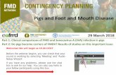 Pigs and Foot and Mouth Disease - EuFMD e-Learning · 2018-03-30 · Foot-and-mouth disease viral loads in pigs in the early, acute stage of disease. Vet Record 2010. Fukai K, Yamada