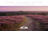 THE SCARLETTS - Pennyfarthing Homes · The Scarletts is the fourth development from Pennyfarthing Homes situated in Whitefield Road, a well established residential road opposite New