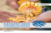 ХИБРИДИ ЦАРЕВИЦА - Corteva · 2020-04-08 · В ръцете си държите каталога за 2020 година, където ще намерите най-актуалната