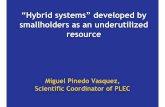 “Hybrid systems” developed by smallholders as an ...archive.unu.edu/env/plec/marginal/proceedings/Pinedo.pdf · “Hybrid” technologies help farmers to deal with environmental