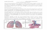 Health Assessment Lab 4: Thorax Assessment Lungs and ...nursing.uokerbala.edu.iq/.../uploads/2018/06/respiratory-assessment.… · Health Assessment Lab 4: Thorax Assessment Assess